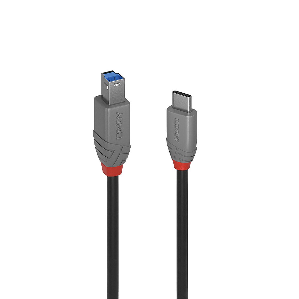 36665  Cable USB-C M a USB 3.2 B M 0,50 m 5Gbps, Anthra Line Negro Lindy
